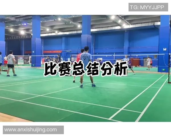 北京羽毛球队技术表现深度数据分析与战术优化研究
