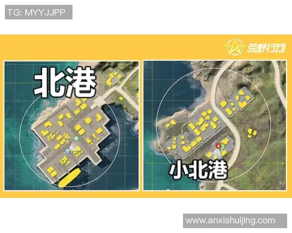 上海篮球队整体压制战术解析与实战应用探讨