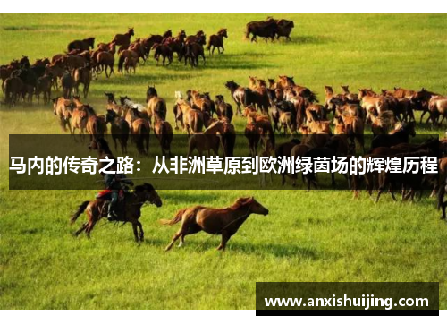 马内的传奇之路：从非洲草原到欧洲绿茵场的辉煌历程